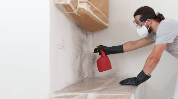 Attic Mold Remediation treatment on roof deck in Summit
